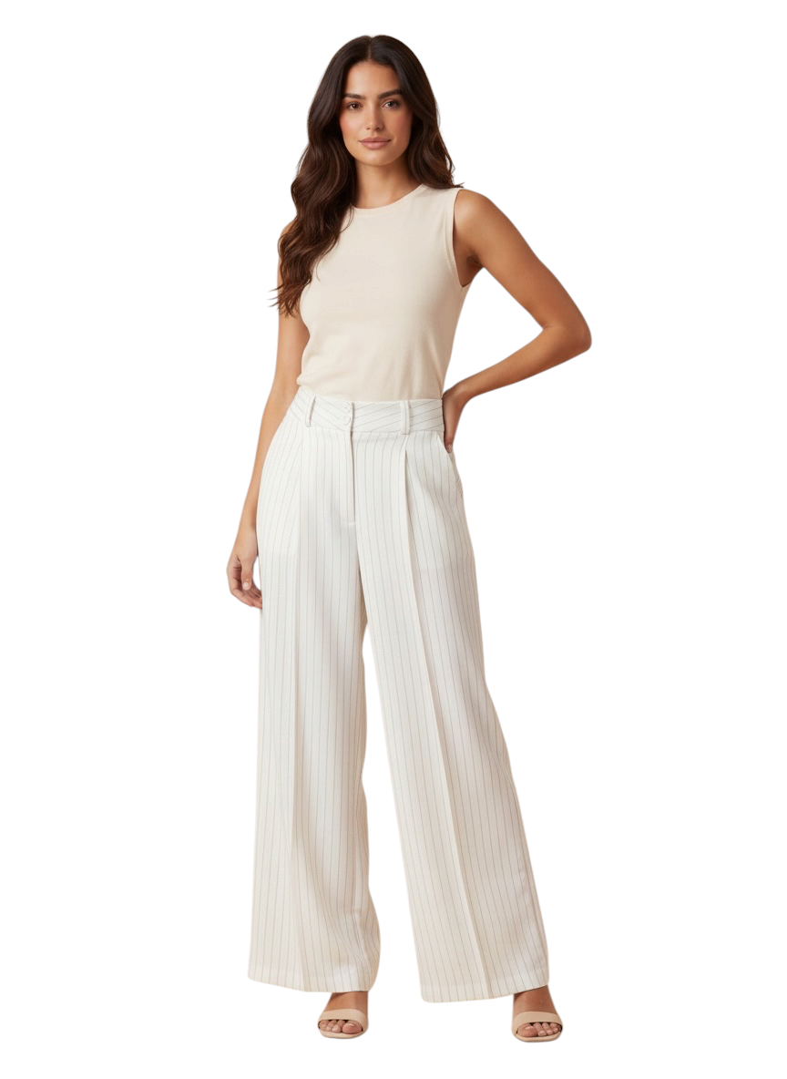 Classy Formal Pants